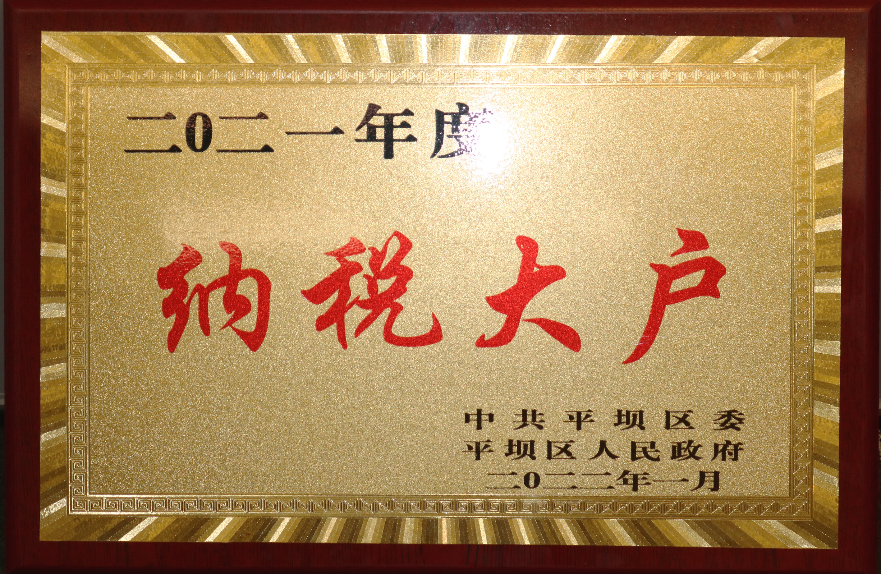 2021年纳税大户